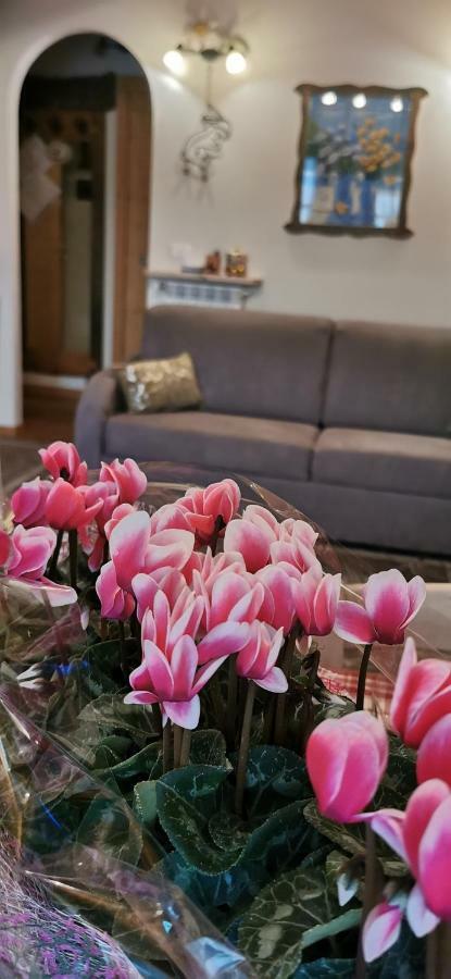 Borgo Alpino Chalet 4 Априка Экстерьер фото